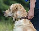 20190803-jhl-0045