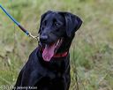 20190803-jhl-0138