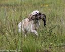 20190803-jhl-0485