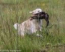 20190803-jhl-0486