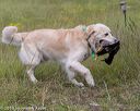 20190803-jhl-0492