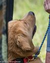20190803-jhl-0577