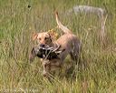 20190803-jhl-0932