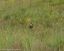 20190803-jhl-1254