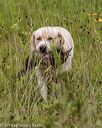 20190803-jhl-1285
