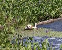 20190803-jhw-0099