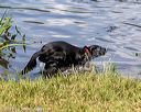 20190803-jhw-0237