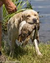 20190803-jhw-0353