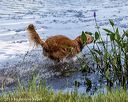 20190803-jhw-0452