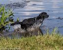 20190803-jhw-0499
