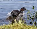 20190803-jhw-0669