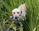 20190803-jhw-0784