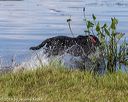 20190803-jhw-1575