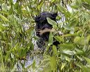 20190803-jhw-1820