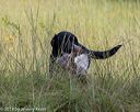20190804-shl-0101