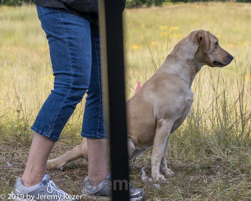 20190804-shl-0172.jpg