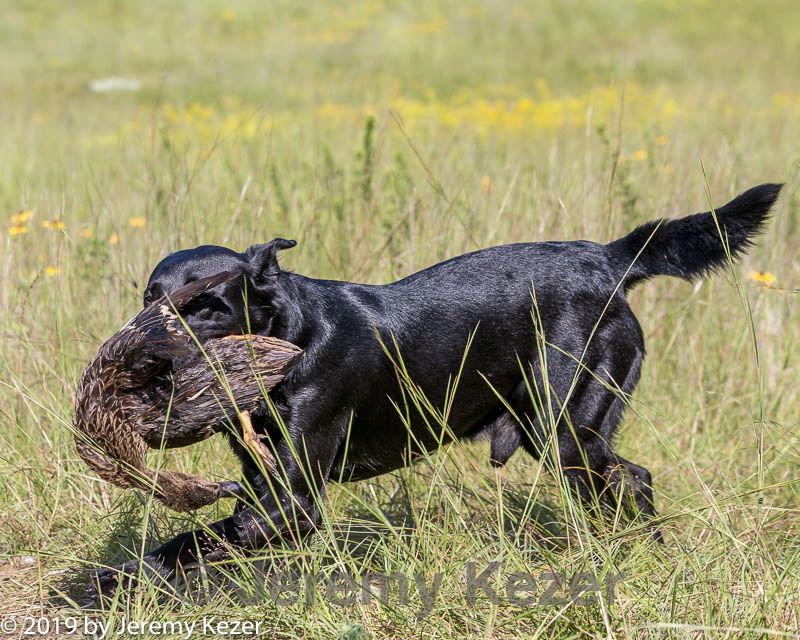20190804-shl-0594.jpg