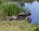 20190804-shw-0003