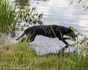 20190804-shw-0464