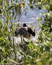 20190804-shw-0578