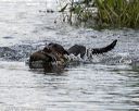 20190804-shw-0773