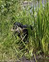 20190804-shw-0862