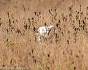 20191005-wcl-0003