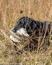 20191005-wcl-0071