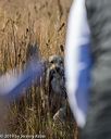 20191005-wcl-0138