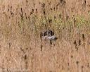 20191005-wcl-0227
