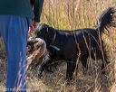 20191005-wcl-0268