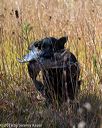 20191005-wcl-0275