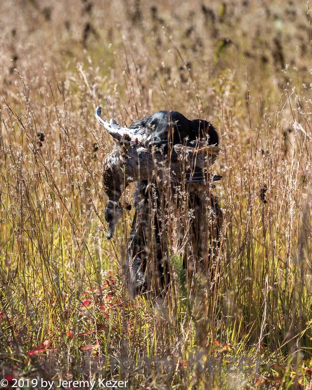 20191005-wcl-0270.jpg