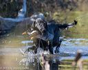 20191005-wcw-0100