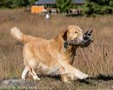 20191005-wcxl-0284