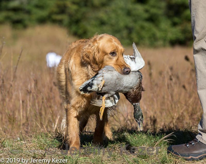 20191005-wcxl-0216.jpg