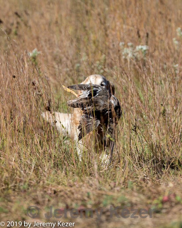 20191005-wcxl-0243.jpg