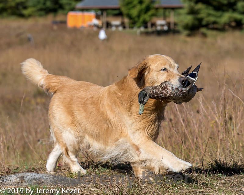 20191005-wcxl-0284.jpg