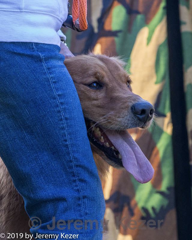 20191005-wcxl-0295.jpg