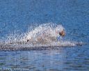 20191005-wcxw-0146