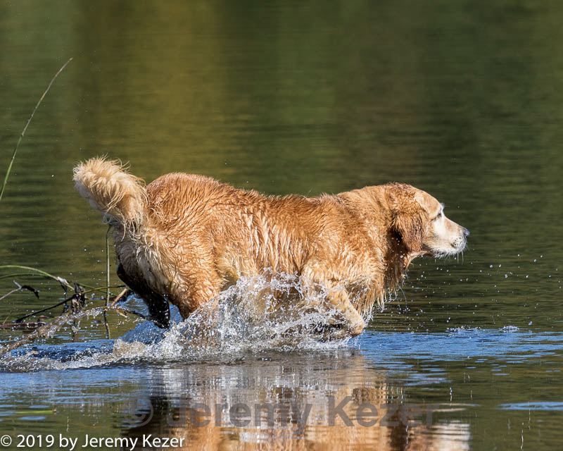 20191005-wcxw-0010.jpg