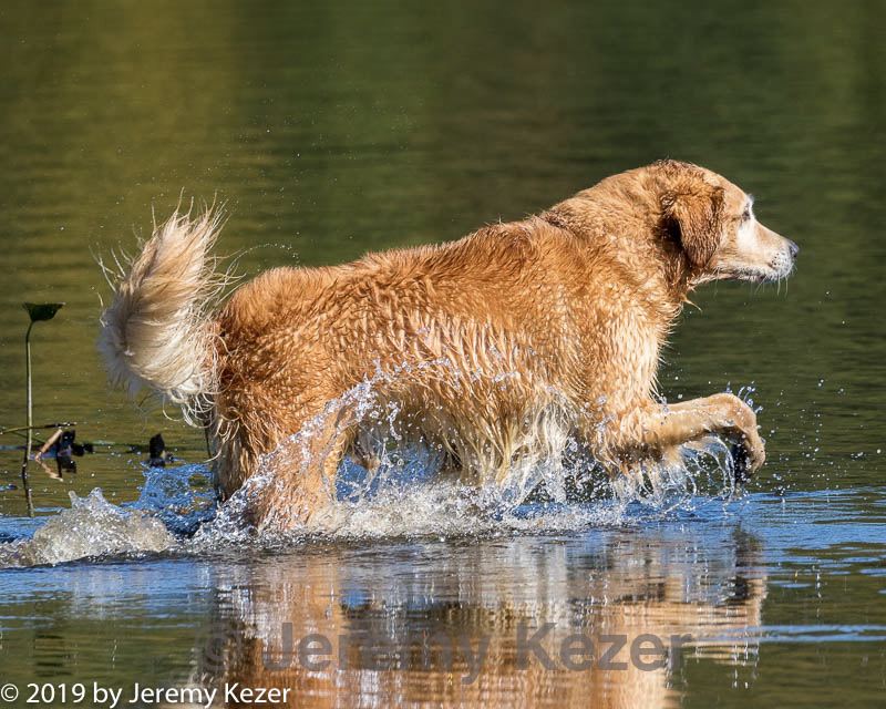 20191005-wcxw-0011.jpg