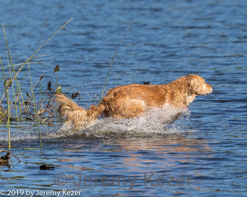 20191005-wcxw-0276.jpg