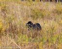 20191013-peewee-0012