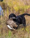 20191013-peewee-0016