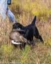 20191013-peewee-0017
