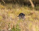 20191013-vetl-0011