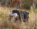 20191013-vetl-0063
