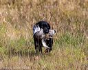 20191013-vetl-0081