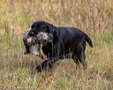 20191013-vetl-0084